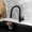 Noir Mat, variante sur Stylish Modena Robinet de Filtre à Eau à Double Fonction Rétractable 14 1⁄8 Pouces Noir Mat K-131NR