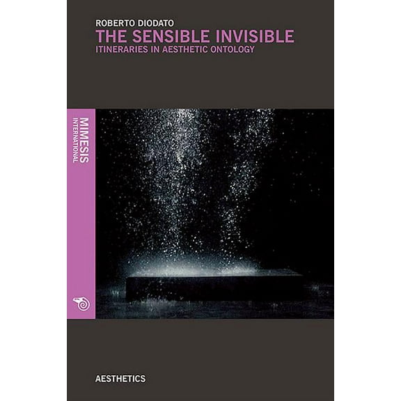 The Sensible Invisible Roberto Diodato (Paperback)