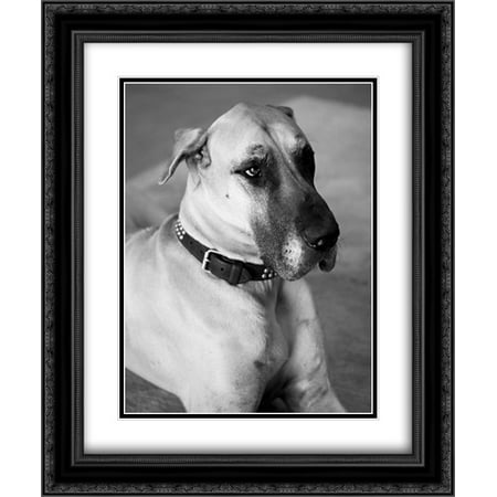 Great Dane Black and White 2x Matted 20x24 Black Ornate Framed Art Print by Millet, (Superwoman The Best Of Karyn White)