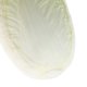 thumbnail image 5 of Modelo de Repollo Chino Vegetal Artificial Amarillo Sunnimix, 5 of 7