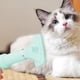 thumbnail image 5 of Ganfancp Secador de Pelo para Perros con Peine de Púas - Cabezal Soplador Plano - Cabezal Soplador Redondo - Adecuado para El Cepillado de Perros - Perros y Gatos Pequeños y Medianos Ofertas Del Día, 5 of 7
