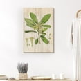 thumbnail image 1 of PixonSign Canvas Print Wall Art Wood Style Green Leaves Floral Wildlife Illustrations Modern Art Traditional Relax/Calm Multicolor Pastel for Living Room, Bedroom, Office - 16"x24", 1 of 5