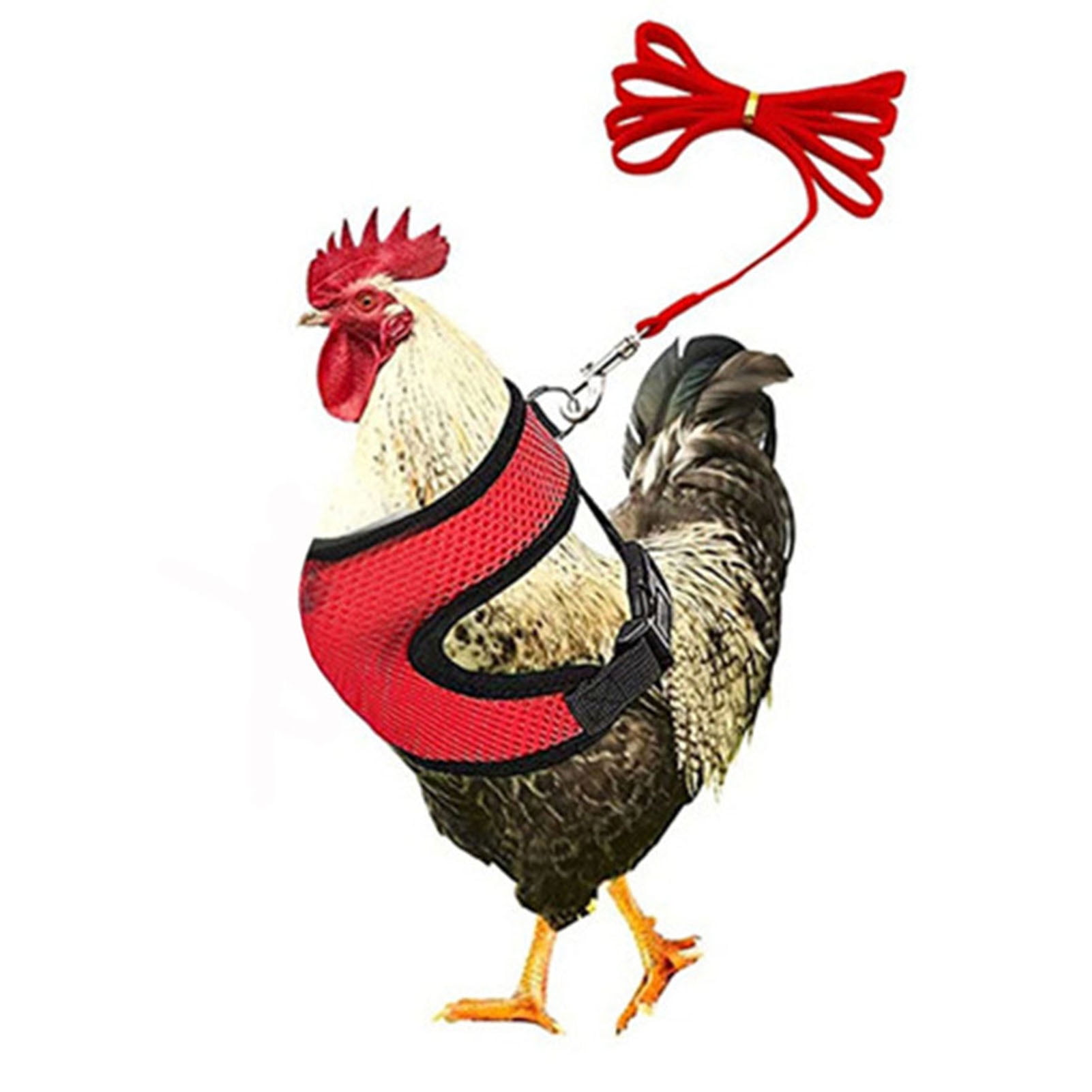 Adjustable Chicken Harness with Leash Comfortable Hen Vest Breathable Mesh