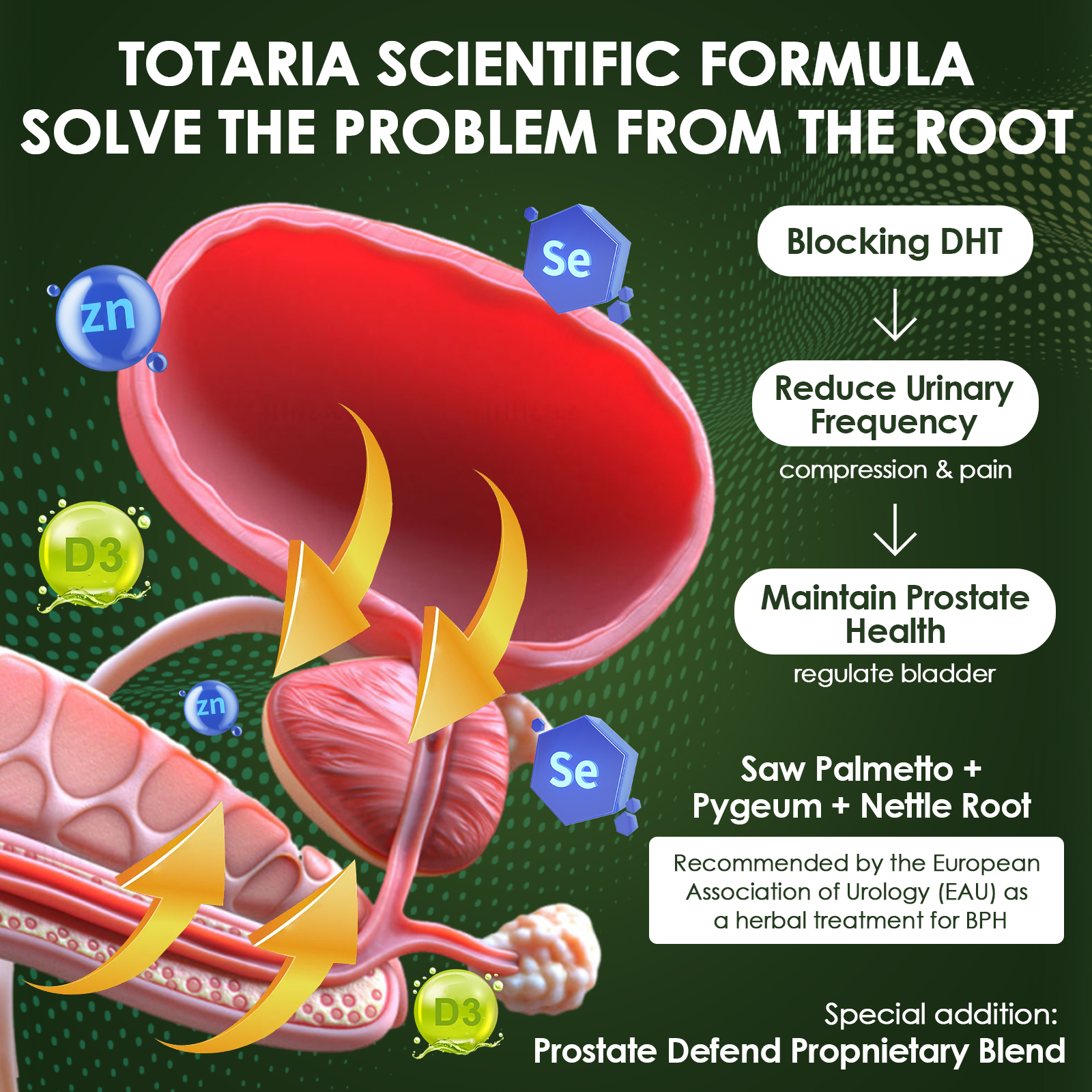 Totaria Organic Saw Palmetto & Prostate Support for Men, 120 Capsules, Non-GMO, Gluten-Free