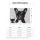 thumbnail image 5 of Fotbe Cool French Bulldog Wine Manta de Franela con Estampado, Manta Ultrasuave para Cama, Sofá, Auto, Hipoalergénica y Antibolitas-40"x30", 5 of 6