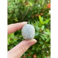 thumbnail image 5 of Fossil Coral Tumbled Stones, Polished Natural Fossil Coral Gemstone, Fossil Coral Healing Crystals (Fossil Coral, 1 Pound), 5 of 8