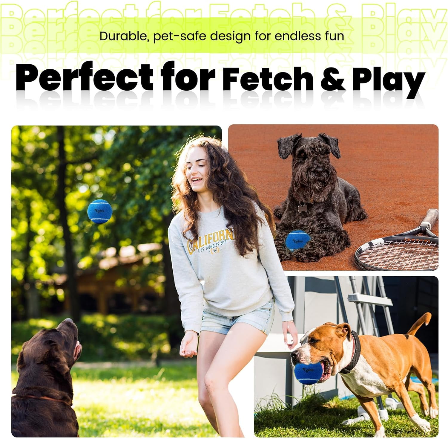 60 Pack Tennis Balls for Training and Dogs