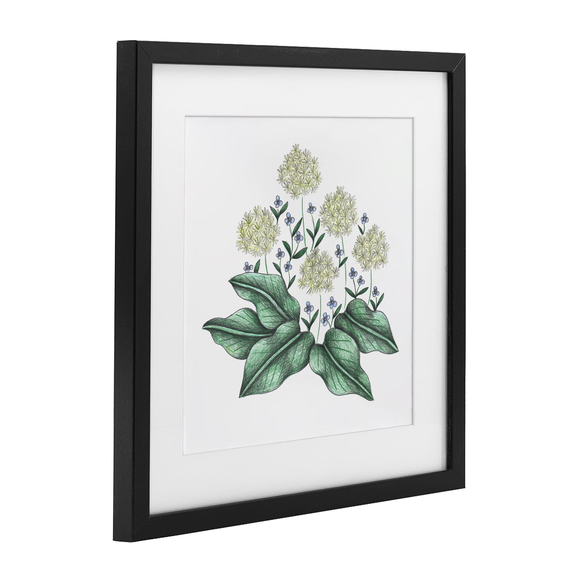 Hello Wildflower Vintage Sketch Black Framed Print Under Glass, design by Cecilia Battaini