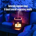 thumbnail image 2 of Pure Daily Care 2-in-1 Himalayan Pink Salt Lamp Diffuser & 10 Essential Oils Set, Dark Wood 400 ml, 2 of 6