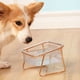 thumbnail image 5 of Tazón de comida para perros y gatos, elevado, inclinado, transparente, hierro dorado, tazón individual, 5 of 7