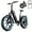 Black, variant on TST Electric Bike for Adults, 750W Peak 1000W Motor, 20"x4" Fat Tire Oil Brakes EBicycle, E Mountain Bike, 48V/15AH UL2849