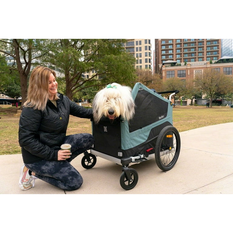 Burley hotsell dog stroller