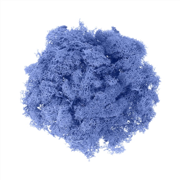 Uxcell Preserved Reindeer Moss 7oz Fake Moss for Crafts Artificial Dried Moss for Decoration Terrariums Sky Blue