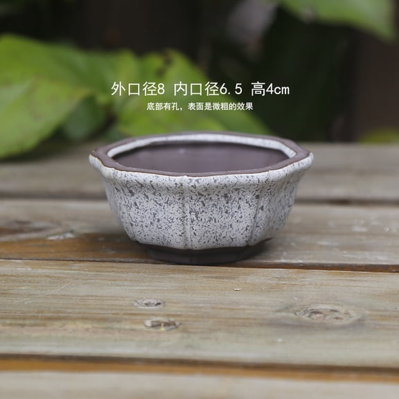 RENACLIPY Rose Ceramic Planter Pot for , Cactus, Indoor and Outdoor Plant Decoration and Gardening