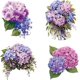 thumbnail image 1 of Pegatinas para ventana de hortensias de 4 estilos, primavera y verano, flores moradas, decoración de ventanas de vidrio, pegatinas florales de doble cara., 1 of 9