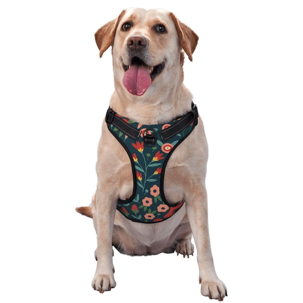 Fotbe Berries and Flowers Arnés para Perro con Estampado –Chaleco Ajustable Acolchado con Asa de Control para Perros Grandes-Medium