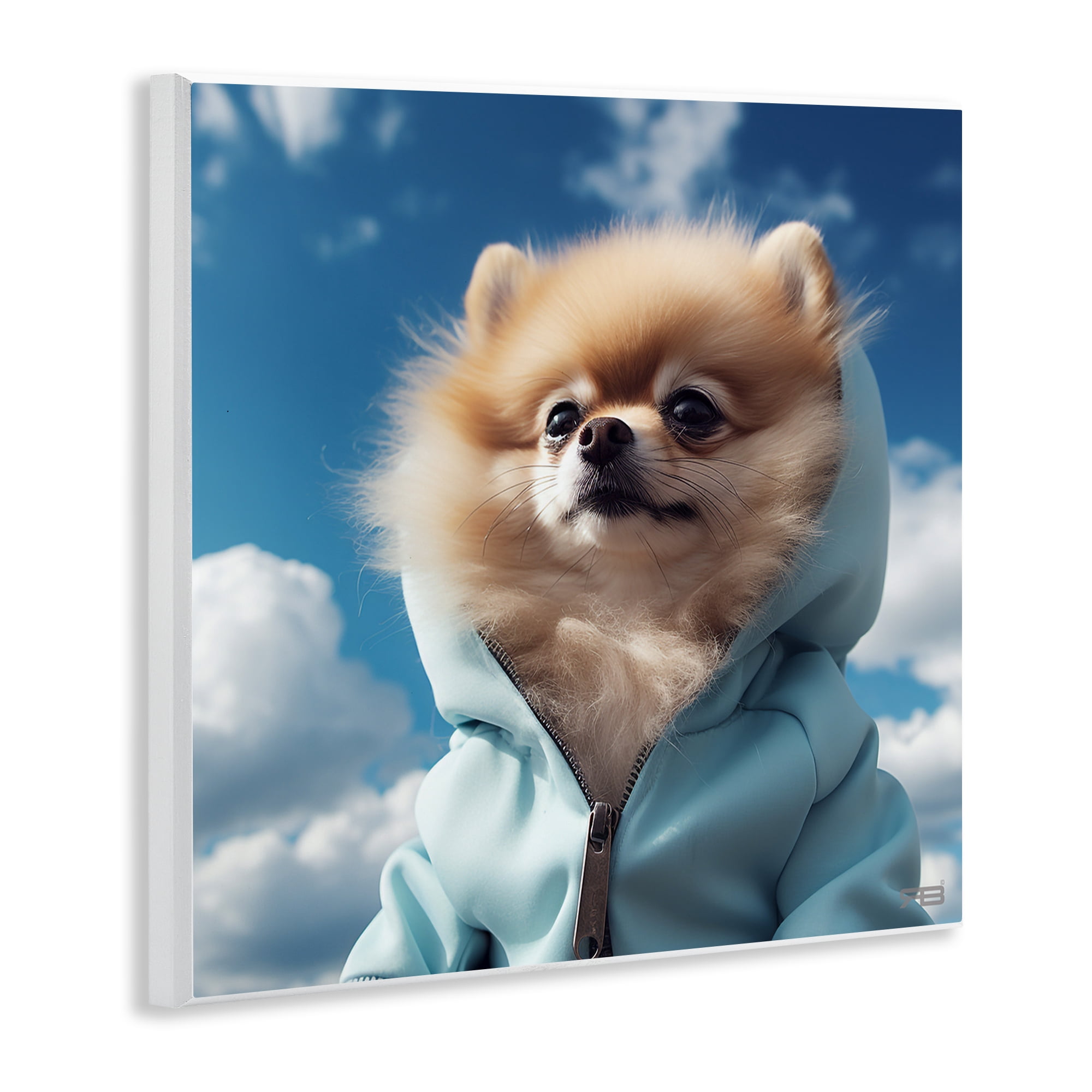 Stupell Industries Pomeranian Dog & Clouds Animals & Insects Painting Unframed Art Print Wall Art, 12 x 12