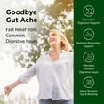 thumbnail image 3 of Flora Daily Maintenance Digestive Enzymes - Contains 7 Enzymes for Digestive Health Support - Aids Gas & Bloating - Non-GMO & Gluten-Free - 60 Vegetarian Capsules, 3 of 7