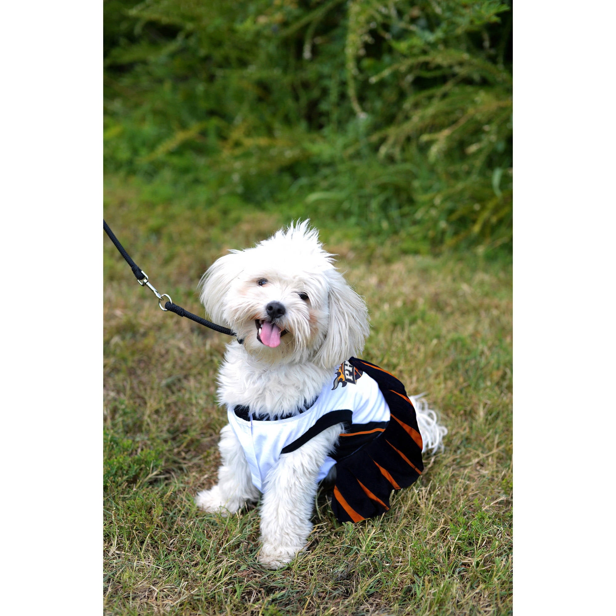 pets first nba phoenix suns dog cheerleader dress, x-small