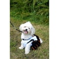 thumbnail image 3 of pets first nba phoenix suns dog cheerleader dress, x-small, 3 of 6