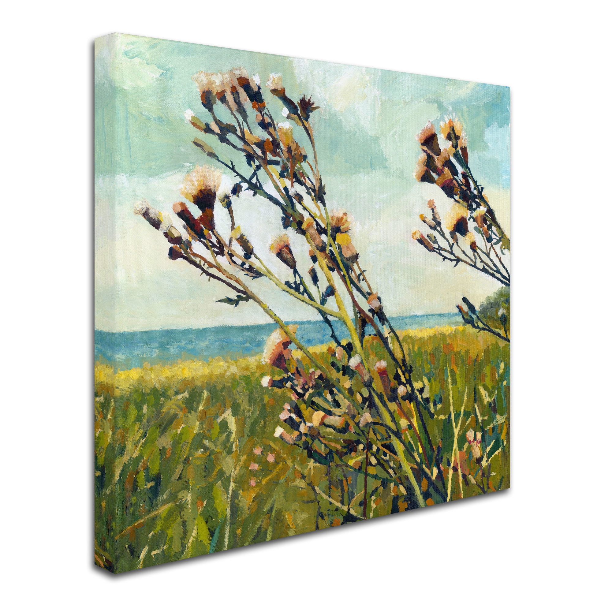 Trademark Fine Art "Thistles on the Beach" Canvas Art by Michelle Calkins