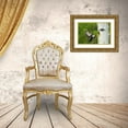 thumbnail image 3 of Welling, Dave 14x11 Gold Ornate Wood Framed with Double Matting Museum Art Print Titled - WA, YakimaPleated woodpecker at nest with chicks, 3 of 4