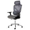 thumbnail image 1 of GloryStar Ergonomic Computer Chair, High-Back Mesh Executive Seat with Adjustable Lumbar, 360° Swivel and Casters, 1 of 7
