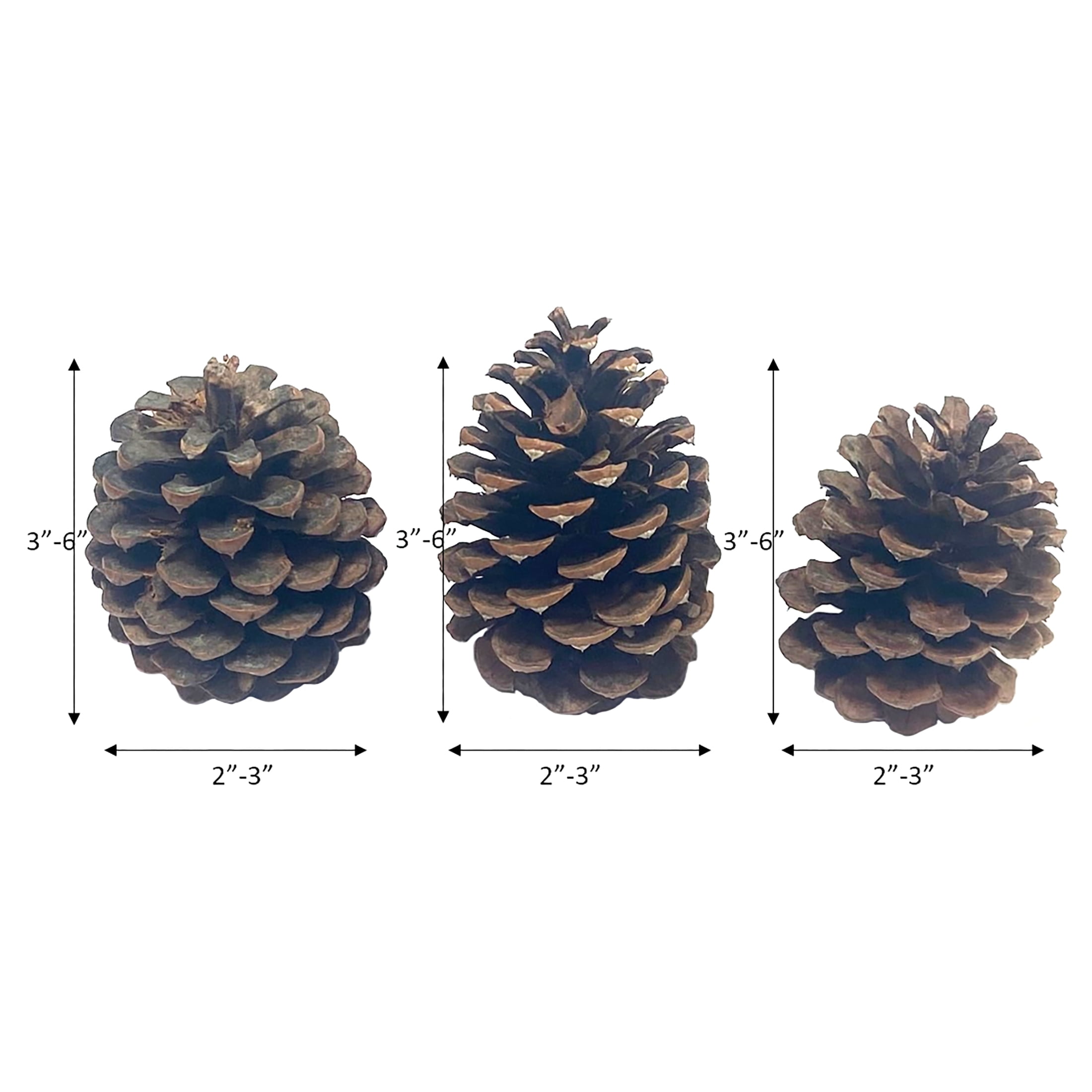 (2 pack) Holiday Time Cinnamon Fragranced Brown Pinecones 8oz