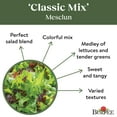thumbnail image 5 of Burpee Organics Classic Mix Mesclun Seed Tape - Non-GMO, Organic Vegetable Gardening Seeds, 22.5 ft Tape, 500 Seeds, 1-Pack, 5 of 6