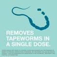 thumbnail image 6 of (2 pack) Elanco Tapeworm Removal Dewormer for Cats, 3 Tablets Praziquantel, 6 of 9