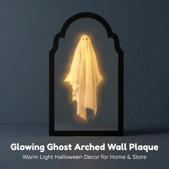 Martha Stewart Ghost Mirror for Halloween, Spooky Scary Ghost Novelty Indoor Mirror, Halloween Party Home Decorations,13.7in