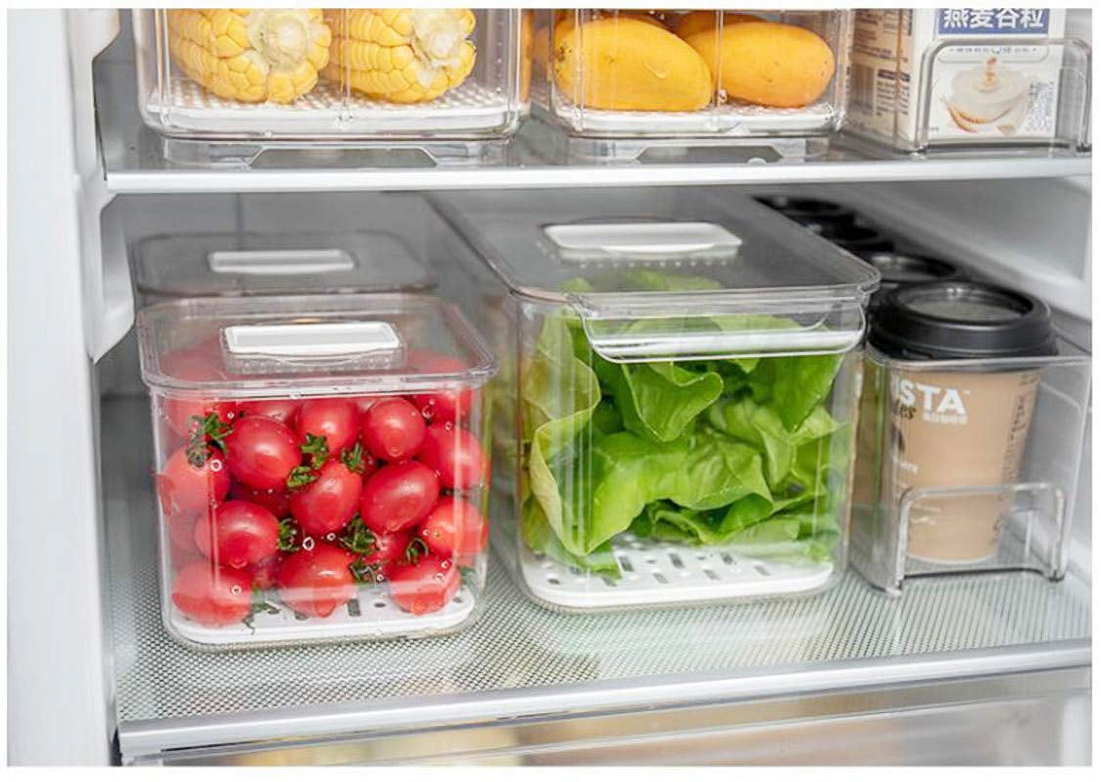  SANNO Fridge Food Storage Containers Produce Saver FreshWorks  Produce Food Storage Container Bin Stackable Refrigerator Kitchen Organizer  Keeper, with Removable Drain Tray to Keep Fresh: Home & Kitchen