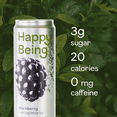 thumbnail image 5 of Happy Being Blackberry Sparkling White Tea – Antioxidant & Polyphenol Rich, Infused with Turmeric, Elderberry, Caffeine Free, Plant-Based, Low Sugar & Low Calorie Drinks, 12oz (4 Pack), 5 of 10