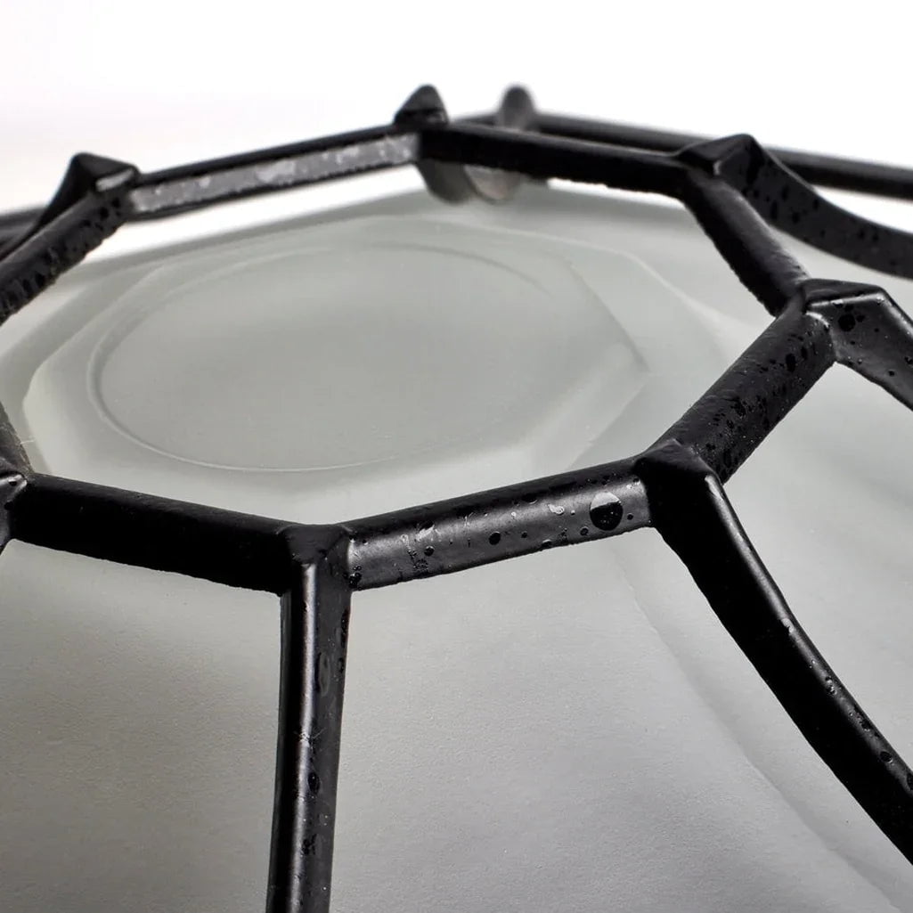 Nuvo 60-534 - 1 Light - 12" - Ceiling Spider Cage Fixture - Die Cast, Glass Lens