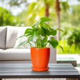 thumbnail image 2 of Ceramic Planter 8 inch, Round Flower Pot with Saucer, Modern Succulent Pot for Indoor Outdoor Use, for Thanksgiving & Fall Decor, Orange, 2 of 8