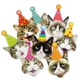 thumbnail image 4 of Decoraciones para fiestas de gatos (8 piezas), caras de gatos Banner de cumpleaños Gato de cumpleaños para gatitos Bday Party Bunting Decoraciones Adepaton HMYH517, 4 of 5