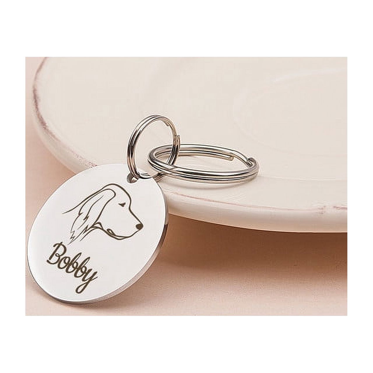 Anavia Stainless Steel Double Sided Round Name and Dog Portrait Engraved Dog & Cat ID Tag, Multi-color, S