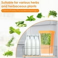 thumbnail image 6 of CSSJKYJ Fresh Herb Keeper for Refrigerator, Clear BPA-Free Herb Saver, Storage Container for Cilantro, Parsley Orange, 6 of 7