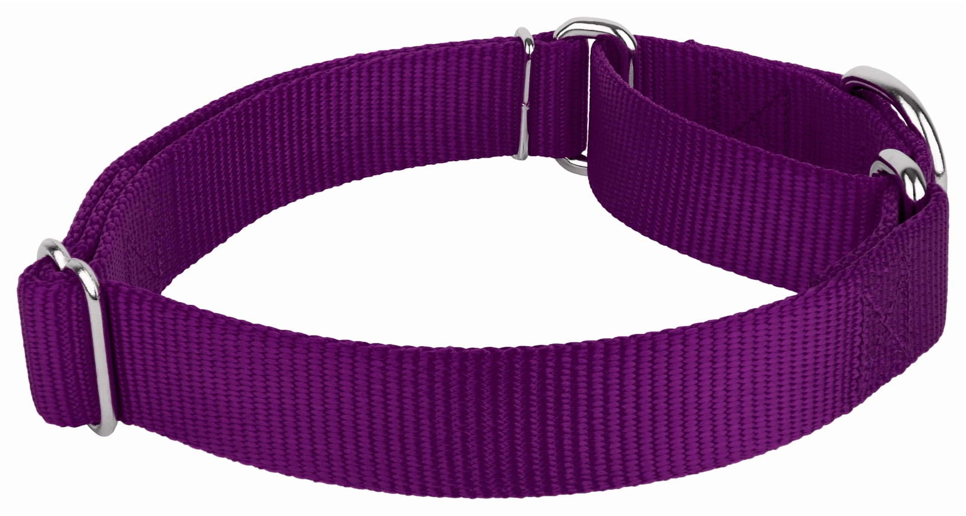 Country Brook Petz® Martingale Nylon Dog Collar & Double Handle Leash - Purple - Small