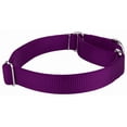 thumbnail image 4 of Country Brook Petz® Martingale Nylon Dog Collar & Double Handle Leash - Purple - Large, 4 of 7