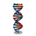 thumbnail image 1 of Visland DNA Models Double Helix Structure Teaching Toy ABS Double Helix DIY Human Genes for Biological Science, 1 of 8