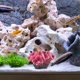 thumbnail image 4 of BEADCEST De Coral Artificial Multi Para Acuario Resina Fácil Limpieza Y, 4 of 6