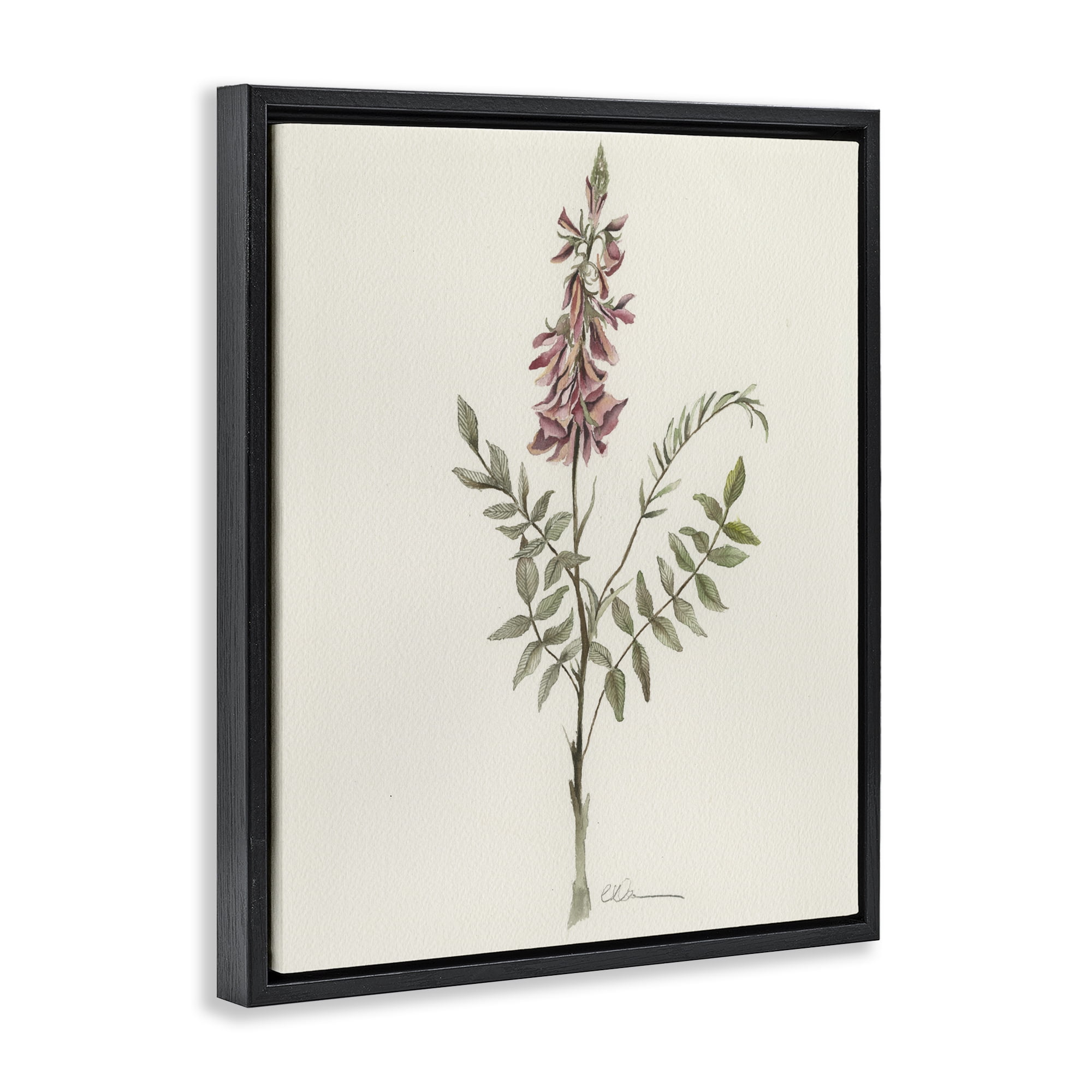 Stupell Industries Nature's Delicate Herb Sprig Black Framed Floater Canvas Wall Art, design by Cady Driver