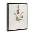 thumbnail image 2 of Stupell Industries Transitional Nature's Delicate Herb Sprig Black Floating Frame Canvas Art, 17 x 21, by Cady Driver, 2 of 8