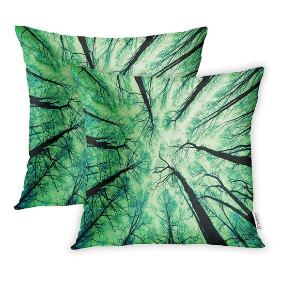 BSDHOME Green Cedar Looking Up at The Sky Aspen Bark Pillow Case Pillow Cover 18x18 inch Set of 2