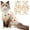 Candy, variant on Tingzi Cat Recovery Suit for Spay Abdominal Wounds, Breathable Cat Onesie for Cats After Surgery Female, Kitten Surgical Recovery Suit Female Cone of Shame Alternative for Cats Anti Licking