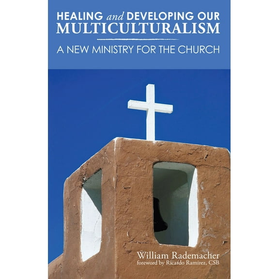 Healing and Developing Our Multiculturalism (Paperback)