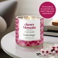 thumbnail image 3 of Bodycology Cherry Blossom Scented 3-Wick Soy Candle, 14.5 oz, 3 of 8