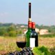 thumbnail image 5 of Aguja para vino tinto a presión de aire. Una herramienta práctica y no destructiva para extraer tapones, adecuada para diversas botellas de vino tinto., 5 of 8