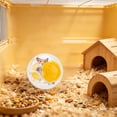 thumbnail image 5 of Hamster Exercise Ball Silent, Transparent, Breathable, Promote Exercise Health, Reduce Stress, Easy to Clean, Hamster Accessory, for Syrian Dwarf Hamster, Gerbils, Small Pets, 5 of 6